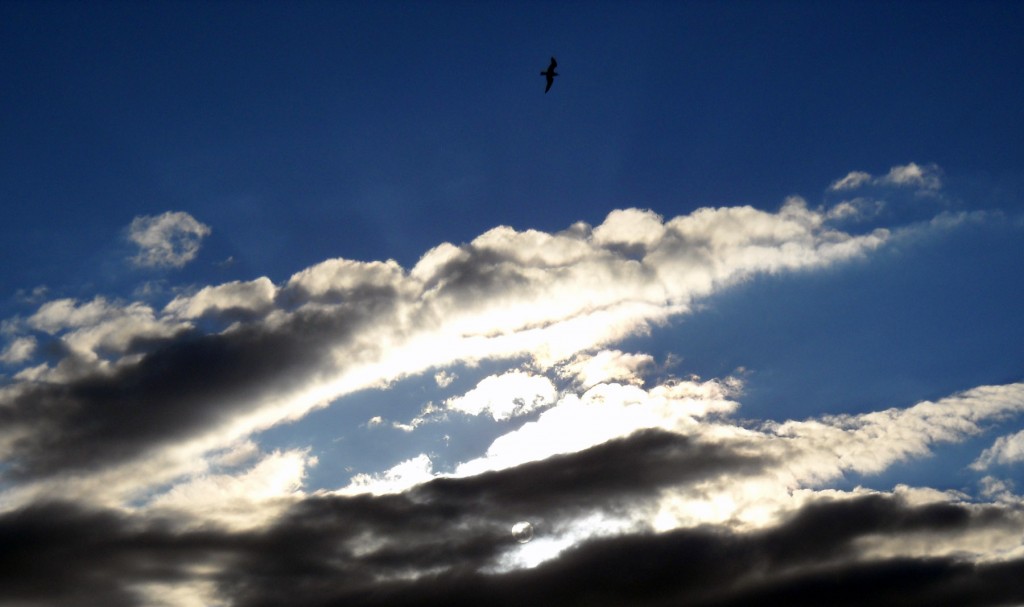sky 3